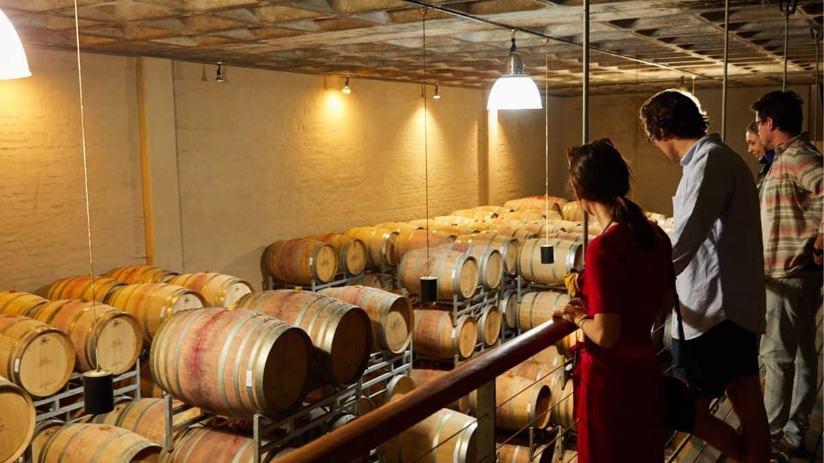 As melhores vinícolas do mundo para visitar