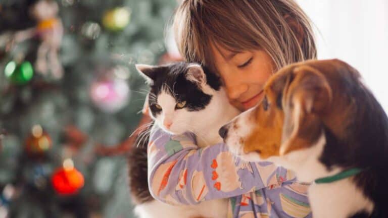 Como a adoção de um pet pode melhorar sua vida