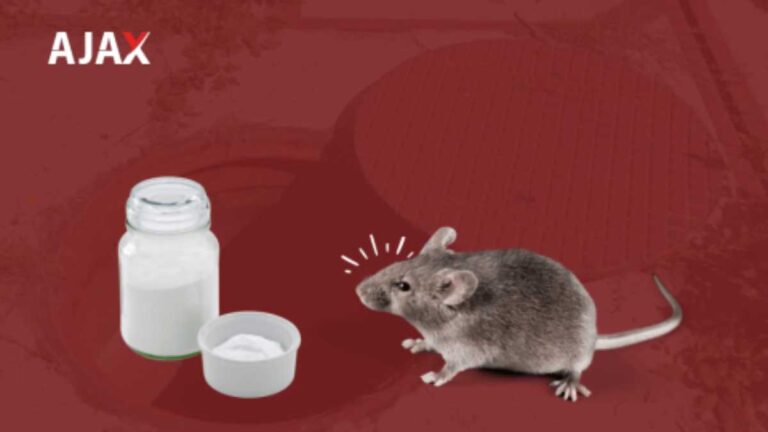 Ratos e Bicarbonato: Mitos e verdades
